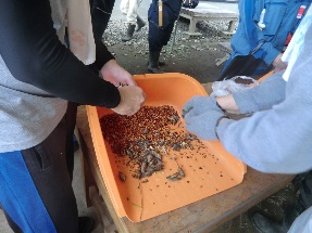 woodland conservation activities ③