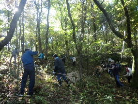 woodland conservation activities ④