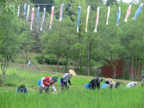 woodland conservation activities ①