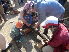 woodland conservation activities ⑤