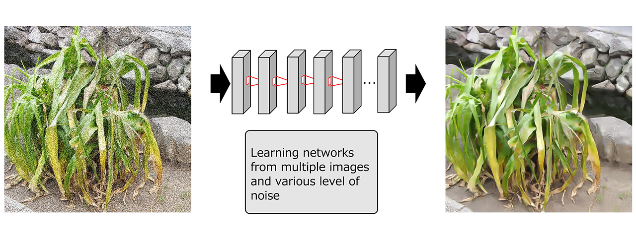 Deep learning image quality improvement Image