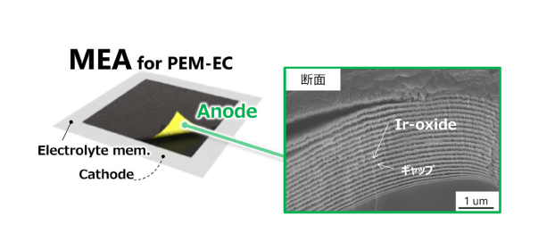 PEM(Polymer Electrolyte Membrane)
