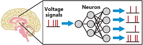 Image of Neuromorphic Computer