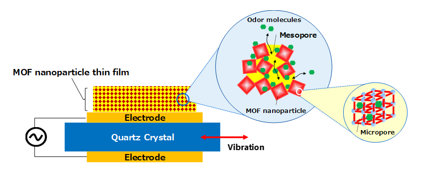Figure 2: Principle of odor sensor on which recently developed MOF nanoparticle thin film was formed by coating
